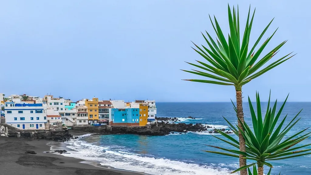 palmeras en primer plano con costa tenerife de fondo